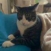 まゆゆ マリン マリンマリン(雄琴)