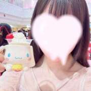 ヒメ日記 2024/12/21 11:46 投稿 スミレ マテリアル