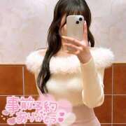 ヒメ日記 2024/12/23 08:31 投稿 スミレ マテリアル