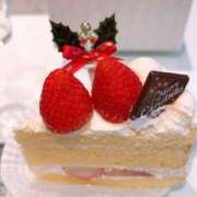 ヒメ日記 2024/12/23 15:16 投稿 スミレ マテリアル