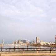 ヒメ日記 2025/01/06 09:31 投稿 スミレ マテリアル