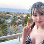 ヒメ日記 2025/06/15 12:01 投稿 スミレ マテリアル