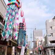 ヒメ日記 2025/07/08 13:01 投稿 スミレ マテリアル