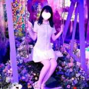 ヒメ日記 2025/07/10 09:01 投稿 スミレ マテリアル