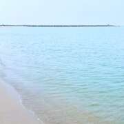 ヒメ日記 2025/07/19 22:01 投稿 スミレ マテリアル