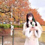 ヒメ日記 2025/11/24 14:16 投稿 スミレ マテリアル