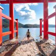 ヒメ日記 2025/12/02 01:31 投稿 スミレ マテリアル