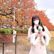 ヒメ日記 2025/12/05 14:31 投稿 スミレ マテリアル