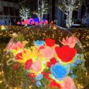 ヒメ日記 2026/01/06 15:01 投稿 スミレ マテリアル