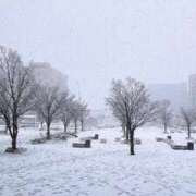 ヒメ日記 2026/01/08 15:46 投稿 スミレ マテリアル