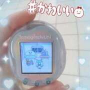 ヒメ日記 2025/12/20 20:50 投稿 三浦　ゆうり 現役ナースが精液採取に伺います 梅田店