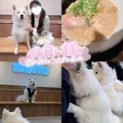 ヒメ日記 2026/03/08 19:11 投稿 三浦　ゆうり 現役ナースが精液採取に伺います 梅田店