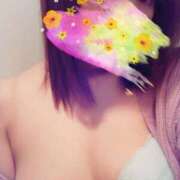 ヒメ日記 2025/04/30 13:57 投稿 せり 成田人妻花壇