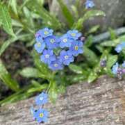 ヒメ日記 2025/07/14 13:58 投稿 みわ 清楚