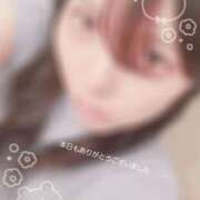 ヒメ日記 2025/08/07 19:44 投稿 みわ 清楚