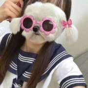 ヒメ日記 2025/10/11 21:25 投稿 水原 千鶴 プルプルハウス