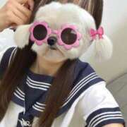 ヒメ日記 2025/10/16 21:20 投稿 水原 千鶴 プルプルハウス