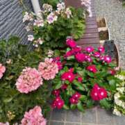 ヒメ日記 2025/07/21 16:43 投稿 ひな 手コキガールズコレクション