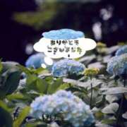 ヒメ日記 2025/06/19 13:50 投稿 しずく 鶯谷スピン