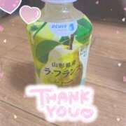 ヒメ日記 2026/04/14 09:03 投稿 しずく 上野・鶯谷スピン