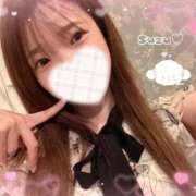 ヒメ日記 2025/12/16 07:44 投稿 すず 東京妻