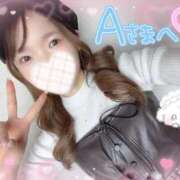 ヒメ日記 2026/01/24 08:21 投稿 すず 東京妻