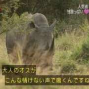 ヒメ日記 2025/02/02 00:16 投稿 りぜ 変態なんでも鑑定団