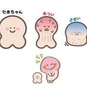 ヒメ日記 2025/02/26 00:16 投稿 りぜ 変態なんでも鑑定団