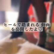 ヒメ日記 2025/04/16 23:16 投稿 りぜ 変態なんでも鑑定団