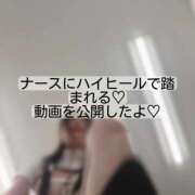 ヒメ日記 2026/02/11 00:17 投稿 りぜ 変態なんでも鑑定団