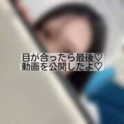 ヒメ日記 2026/05/06 00:36 投稿 りぜ 変態なんでも鑑定団