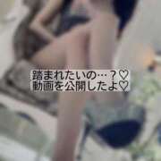 ヒメ日記 2026/05/10 00:16 投稿 りぜ 変態なんでも鑑定団