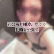 ヒメ日記 2026/08/26 00:20 投稿 りぜ 変態なんでも鑑定団