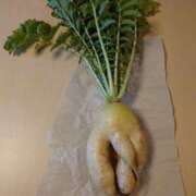 ヒメ日記 2024/12/29 06:46 投稿 愛田　こころ 三丁目の奥様（東京ハレ系）