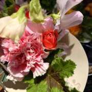 ヒメ日記 2025/01/13 17:01 投稿 愛田　こころ 三丁目の奥様（東京ハレ系）