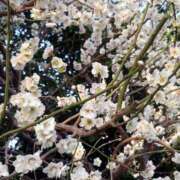 ヒメ日記 2025/03/02 16:48 投稿 愛田　こころ 三丁目の奥様（東京ハレ系）