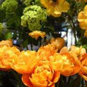 ヒメ日記 2025/03/09 16:57 投稿 愛田　こころ 三丁目の奥様（東京ハレ系）