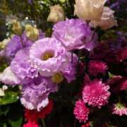 愛田　こころ 出勤しています😊 三丁目の奥様（東京ハレ系）