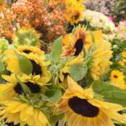 愛田　こころ 本日、出勤します😊 三丁目の奥様（東京ハレ系）