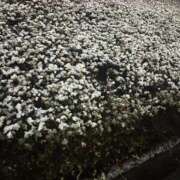 古賀まや ありがとうございました‪💚 鶯谷デッドボール