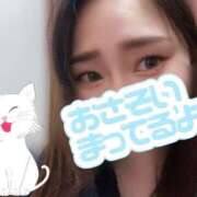 ヒメ日記 2025/04/26 13:02 投稿 りか 名古屋ちゃんこ