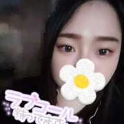 ヒメ日記 2025/04/29 22:17 投稿 りか 名古屋ちゃんこ