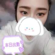 ヒメ日記 2025/05/03 12:27 投稿 りか 名古屋ちゃんこ