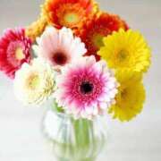 ヒメ日記 2026/01/25 13:19 投稿 ミリア ピンクコレクション大阪キタ店