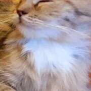 ヒメ日記 2025/02/13 00:45 投稿 すみれ 西船人妻花壇