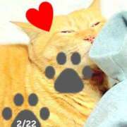 ヒメ日記 2025/02/24 02:47 投稿 すみれ 西船人妻花壇