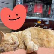 ヒメ日記 2025/03/04 14:37 投稿 すみれ 西船人妻花壇