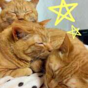 ヒメ日記 2025/03/06 16:55 投稿 すみれ 西船人妻花壇