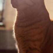 ヒメ日記 2025/03/10 19:30 投稿 すみれ 西船人妻花壇