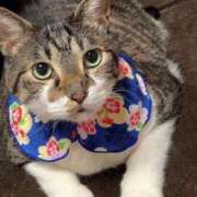 ヒメ日記 2025/03/11 15:29 投稿 すみれ 西船人妻花壇